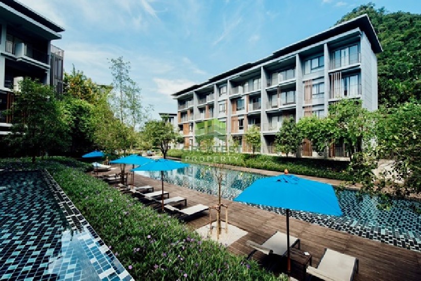 ͹ 23 ͧ ˭ 23 DEGREE CONDO KHAOYAI ´ǹ ͧش  2 ͷ 98.30 . 