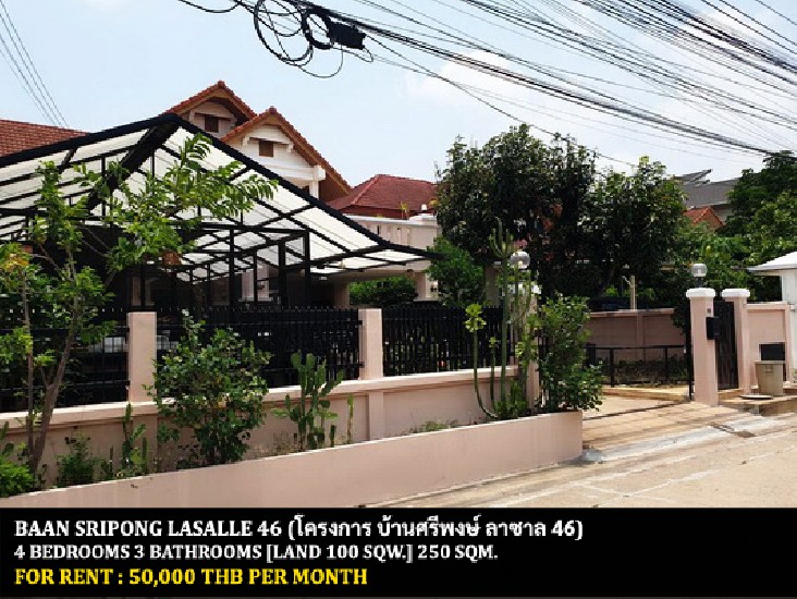 [] FOR RENT BAAN SRIPONG LASALLE 46 / 4 bedrooms 3 bathrooms / 100 Sqw. **50,000**