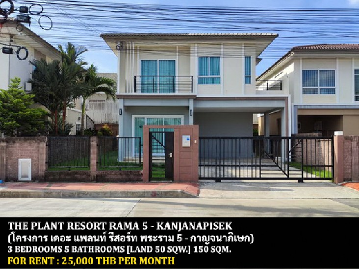  [] FOR RENT THE PLANT RESORT RAMA 5 - KANJANAPISEK / 3 bedrooms **25,000**