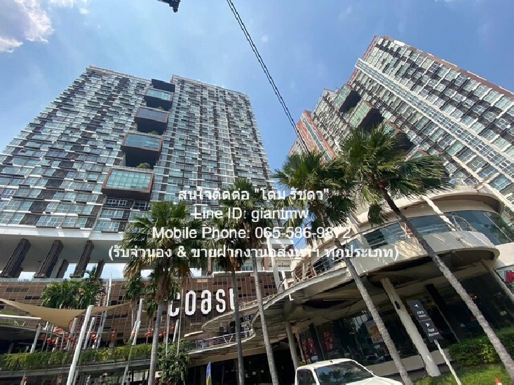 CONDO. The Coast Bangkok  ʵ ầ͡ 19000 thb 1BEDROOM 36 .-. Ũҡ Ҵ¡