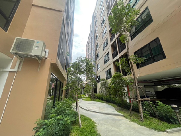 ¤͹ ç ALIVE Sukhumvit 76  BTS ç